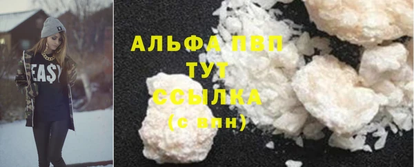 прущие грибы Нягань