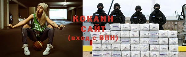 прущие крисы Няндома