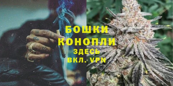 прущие грибы Нягань