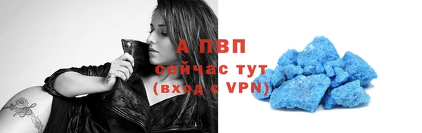 прущие крисы Няндома