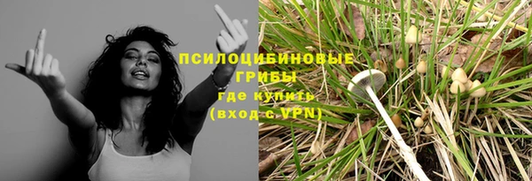 прущие грибы Нягань