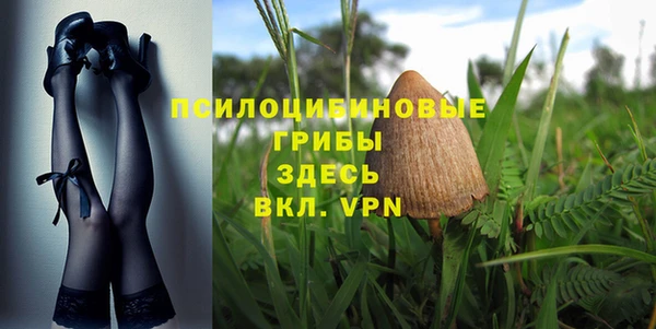 героин Данков