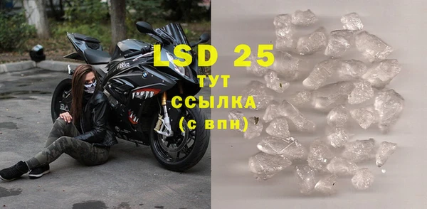 прущие грибы Нягань