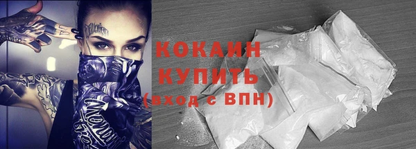 прущие крисы Няндома