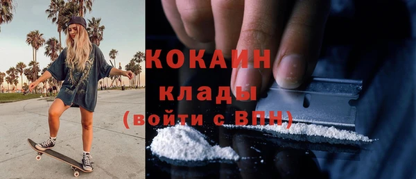 прущие грибы Нягань